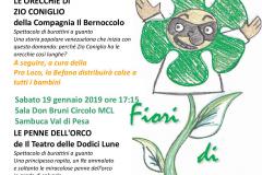 Locandina Fiori di Sambuca