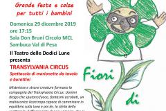 Locandina Fiori di Sambuca Locandina Fiori di Sambuca